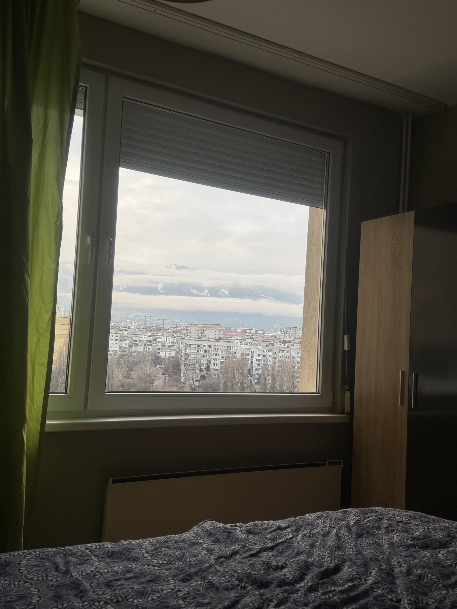 Стая - photo 3