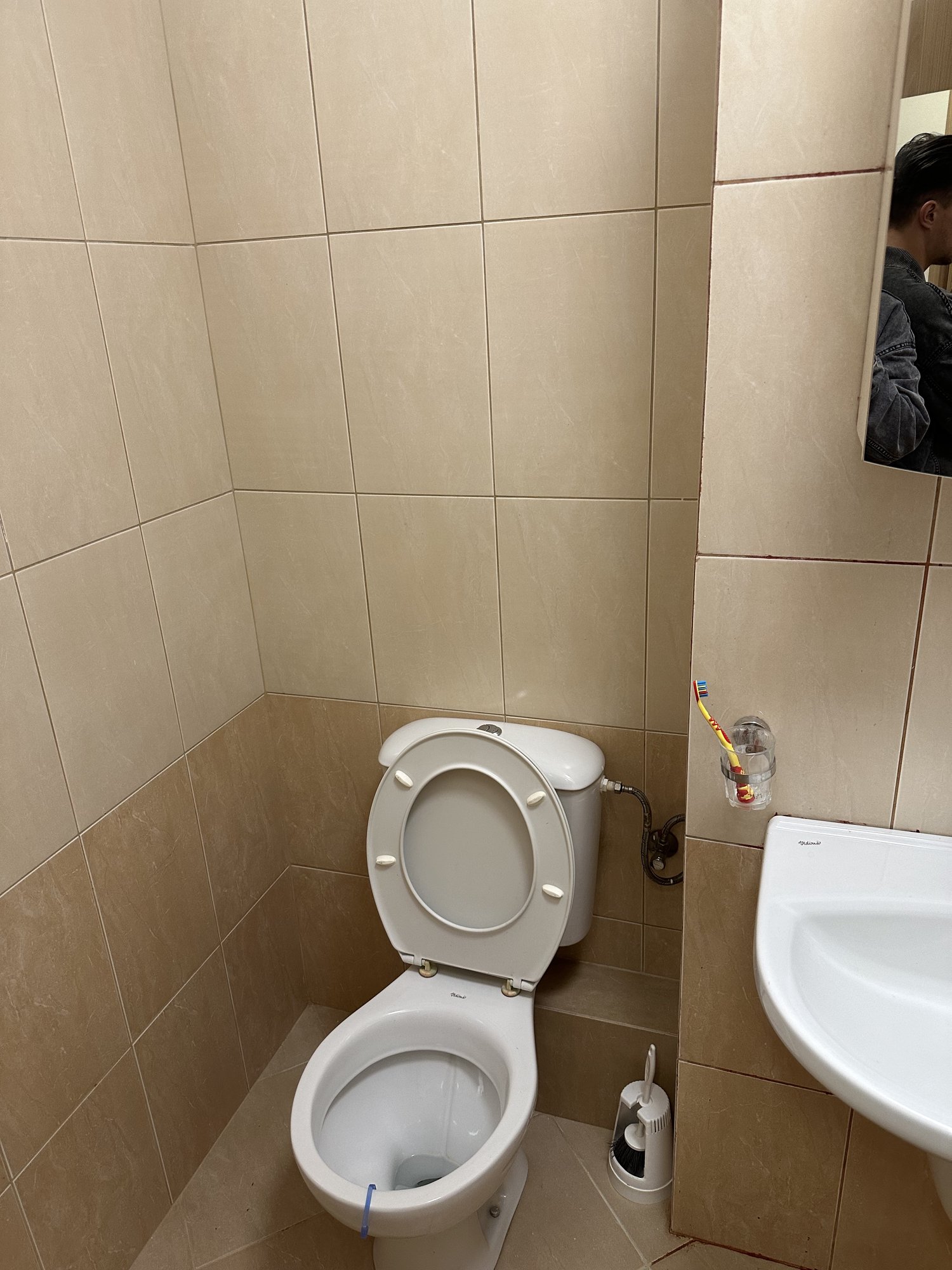 Стая - photo 3